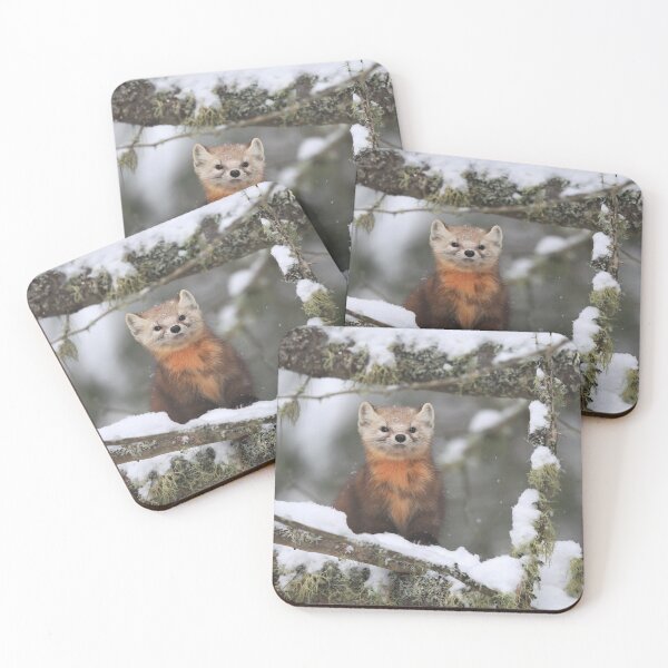 Item preview, Pine Marten designed and sold by mlorenz.