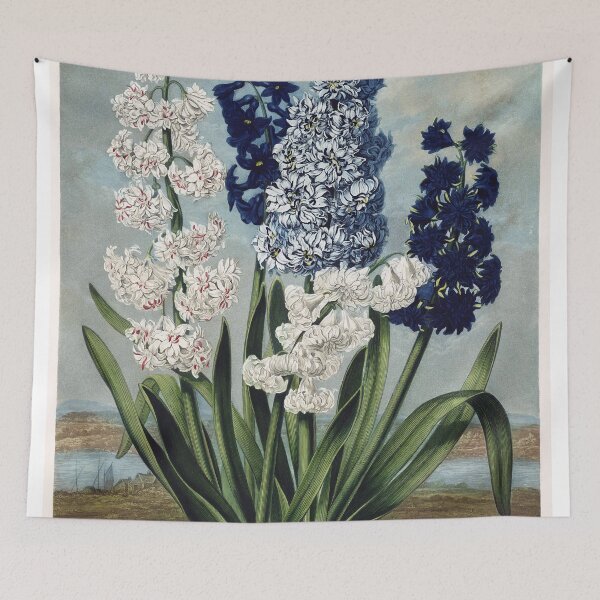 Item preview, Vintage Flower Plate - Hyacinths - Robert John Thornton designed and sold by DejaVuStudio.