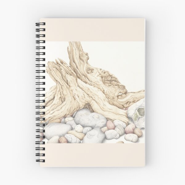 Aperçu de l'œuvre Nature morte de bois flotté et de galets créée et vendue par Fiona Cross.