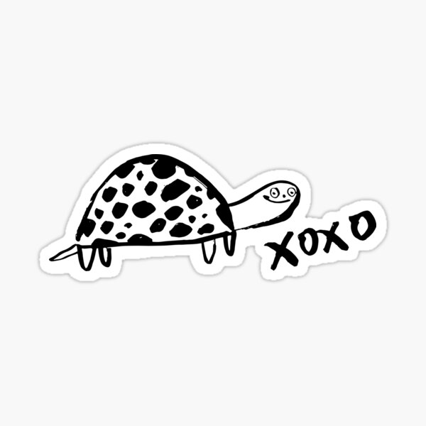 Turtle Man Sticker