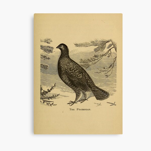Item preview, Naturalist Ptarmigan designed and sold by BlueSpecsStudio.