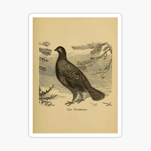 Item preview, Naturalist Ptarmigan designed and sold by BlueSpecsStudio.