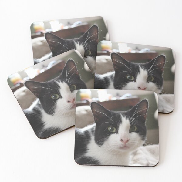 Item preview, Cute Cow Cat Image designed and sold by geniedesigns.