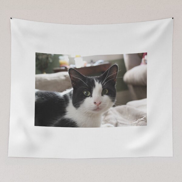 Item preview, Cute Cow Cat Image designed and sold by geniedesigns.