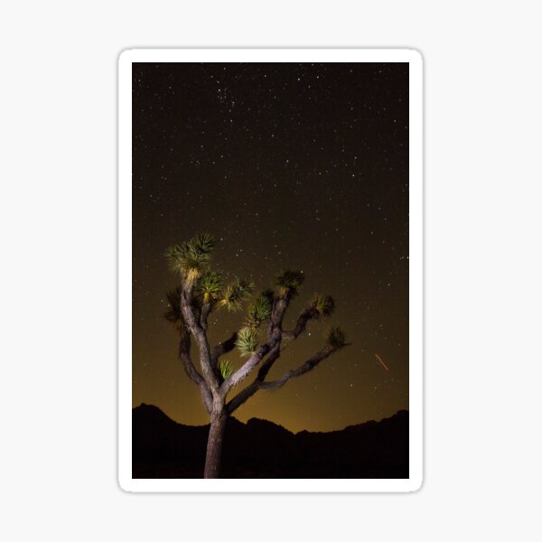 Item preview, Joshua Tree Stars designed and sold by RILEY J MEDIA.