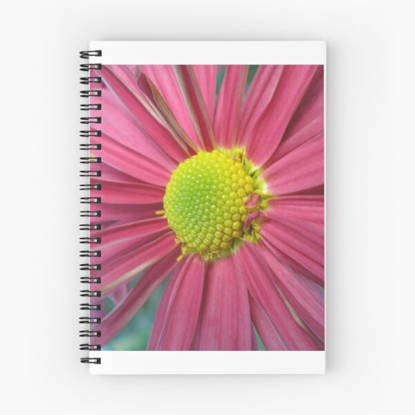 Item preview, pink daisy designed and sold by paolo amiotti.
