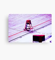 starter Canvas Print