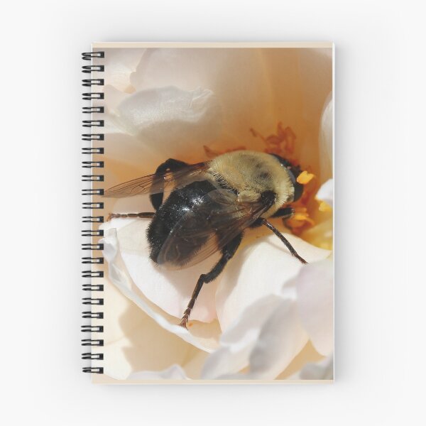 Item preview, Close Up of a Bee designed and sold by anitahiltz.