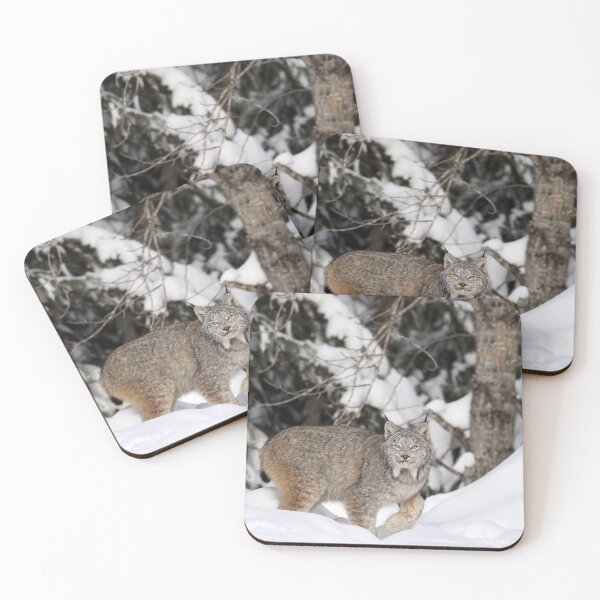 Item preview, Canada Lynx designed and sold by mlorenz.
