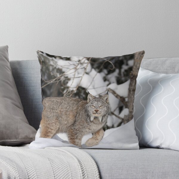Item preview, Canada Lynx designed and sold by mlorenz.