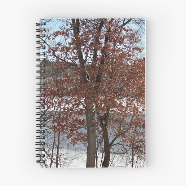 Item preview, Lake Trees designed and sold by Nora Caswell.