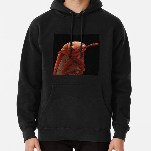 Science photographer of the year, pest, art, sculpture, animal, one, anatomy, biology, invertebrate, insect Pullover Hoodie