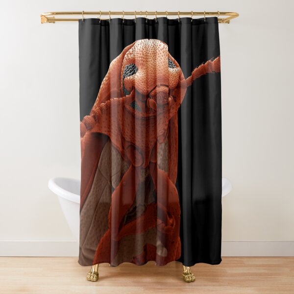 Science photographer of the year, pest, art, sculpture, animal, one, anatomy, biology, invertebrate, insect Shower Curtain