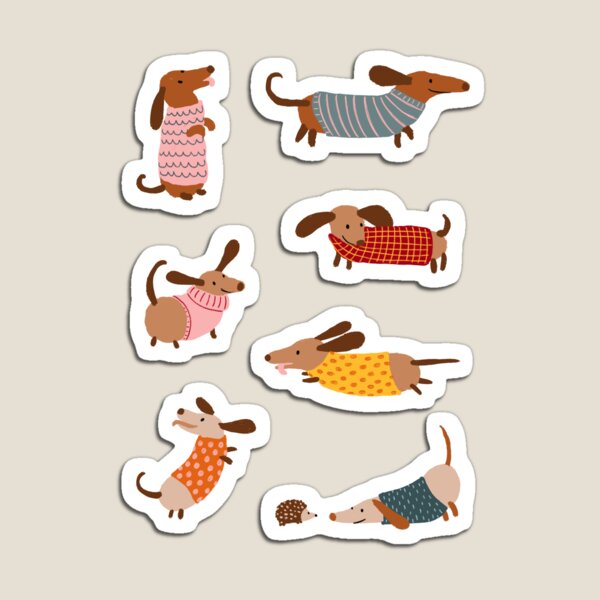 Dachshunds in Sweaters Magnet