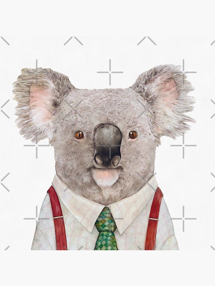 Koala by AnimalCrew
