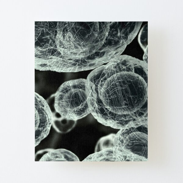 Biological age reversed, water, close-up, microbiology, abstract, biology, infection, magnification Canvas Mounted Print