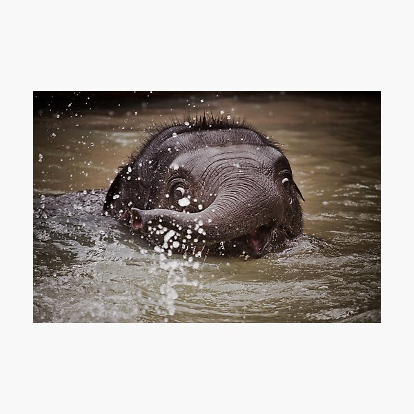 Mali Photographic Print