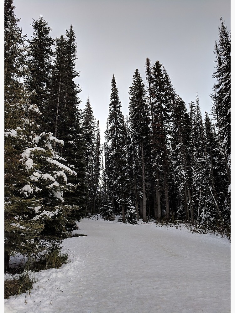 Winter Forest Scene Art Board Print By Nenyanna Redbubble
