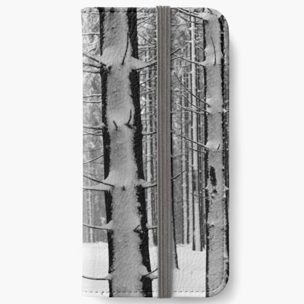 Forest in winter iPhone Wallet