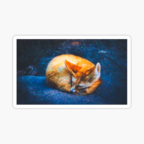 Item preview, Sleepy Fennec designed and sold by Sed R.