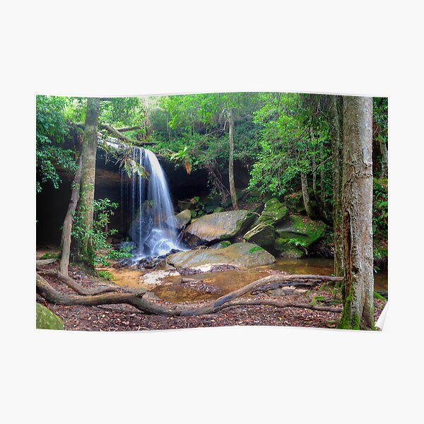 Oakland Falls Poster