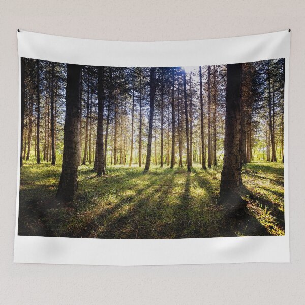 Item preview, Morning Sun designed and sold by TonyPriestley.