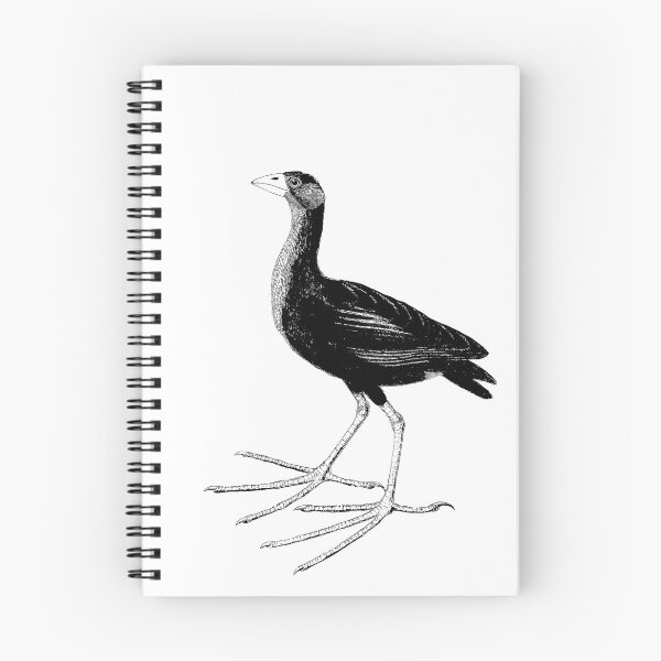 Item preview, The Bisbrooke Dip designed and sold by Ivan Green.