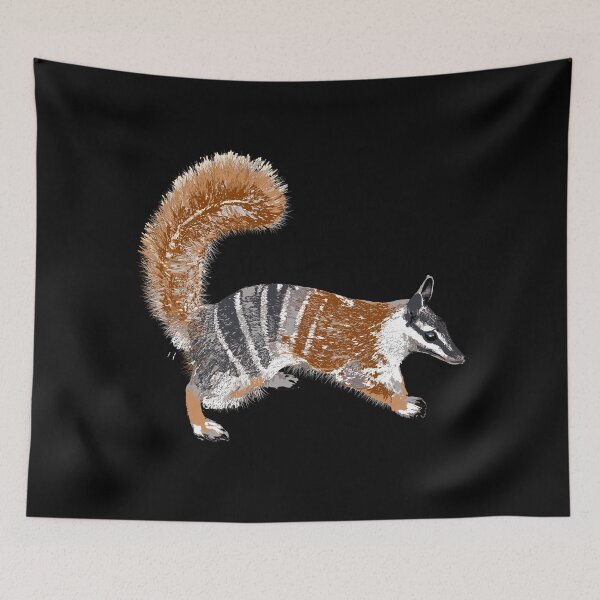 Item preview, Numbat (Myrmecobius fasciatus) on black designed and sold by ChrissyWild.
