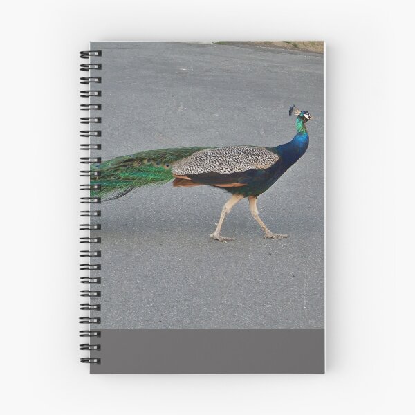 Item preview, Peacock Strutting designed and sold by Nora Caswell.