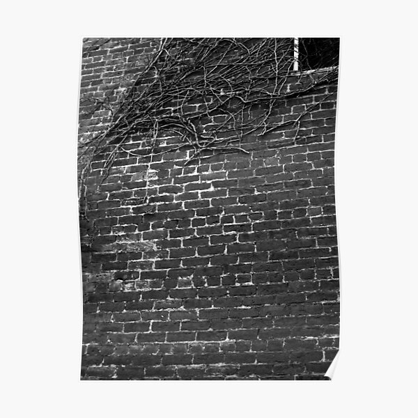 Red Brick Building and Ivy Poster