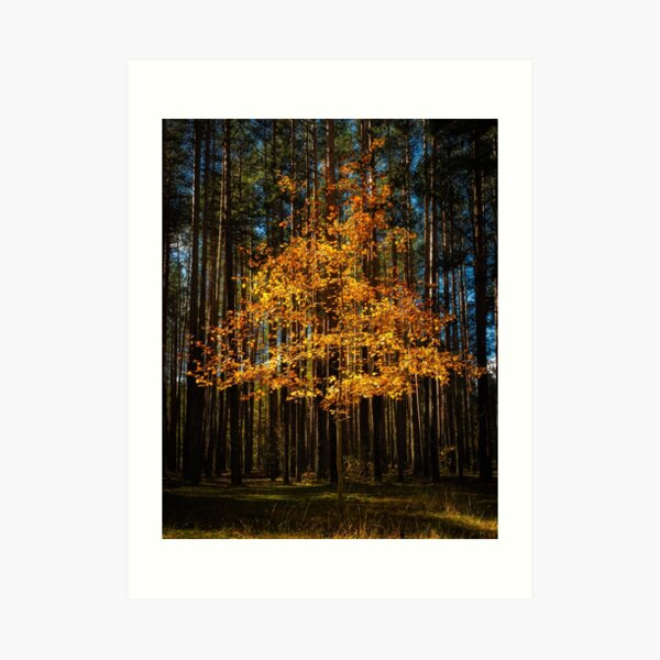 Art Print