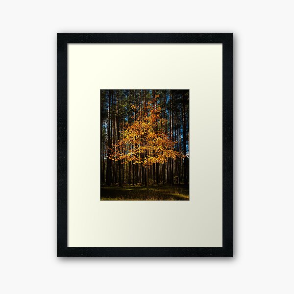 Framed Print