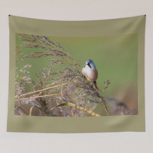 Item preview, Bearded tit designed and sold by HoundieLover.