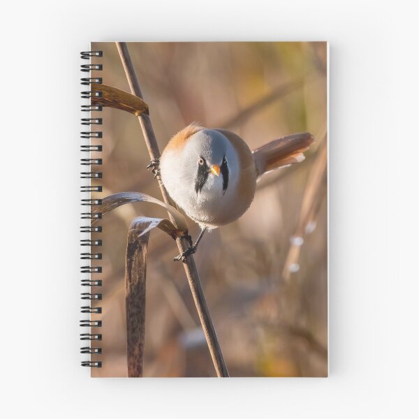 Item preview, Bearded tit designed and sold by HoundieLover.
