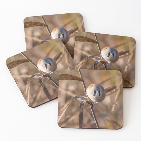 Item preview, Bearded tit designed and sold by HoundieLover.