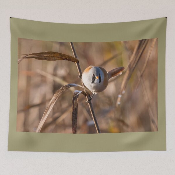 Item preview, Bearded tit designed and sold by HoundieLover.