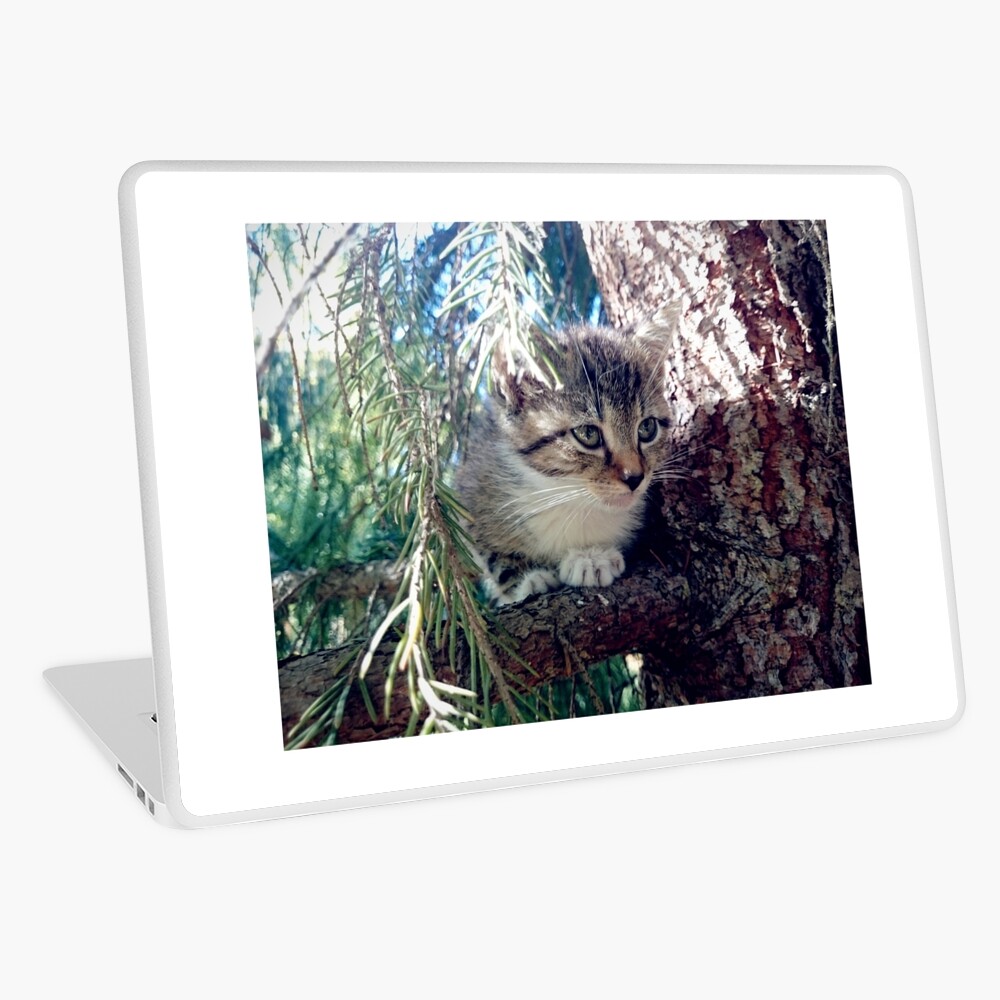 Tiger auf Baum Laptop Folie