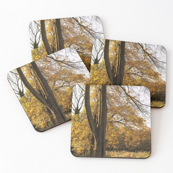 Item preview, Looking, Stubbins  Lancashire  - A View  designed and sold by Carl Gaynor.
