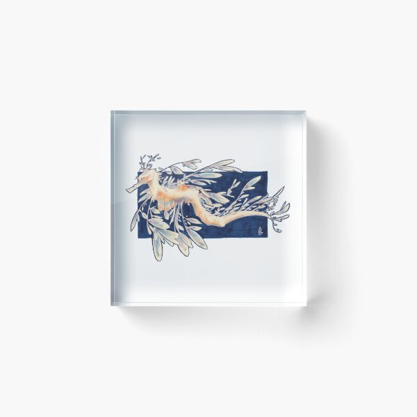 Item preview, Leafy Seadragon sticker designed and sold by Martinacor.