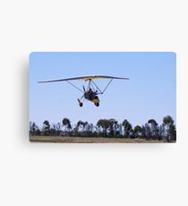 About to Land Canvas Print