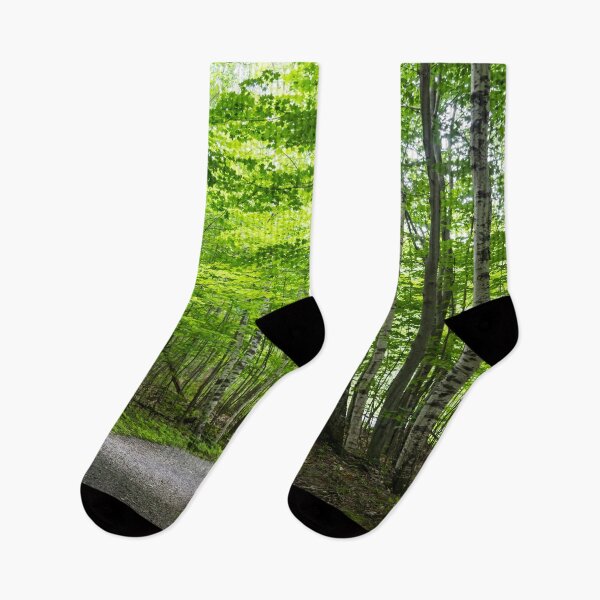 Item preview, Because Summer - Forest Walk Between the Silver Birches designed and sold by Georgia Mizuleva.