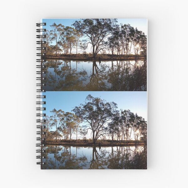 Item preview, Reflections designed and sold by Diane Spicer.