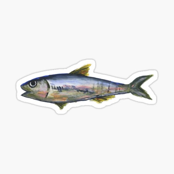 Sardine can fishing stickers (5 pack) – Chartertrash