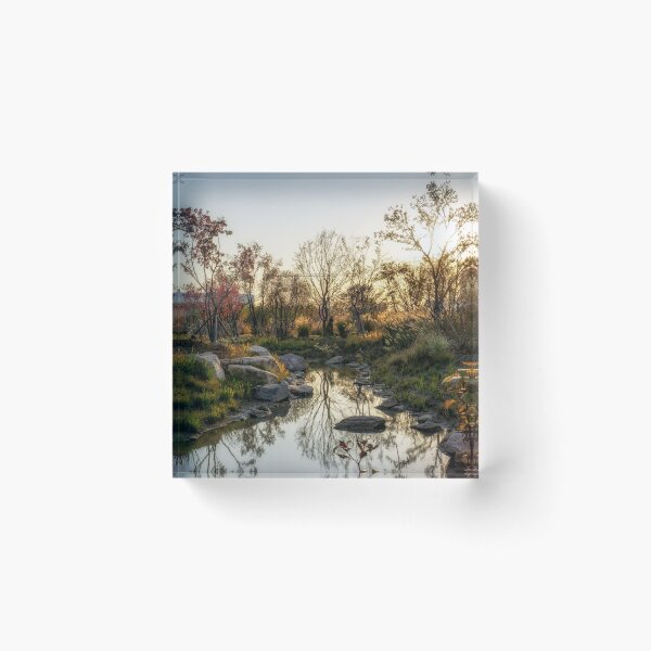 Item preview, Autumn foliage reflections designed and sold by aaronchoi.