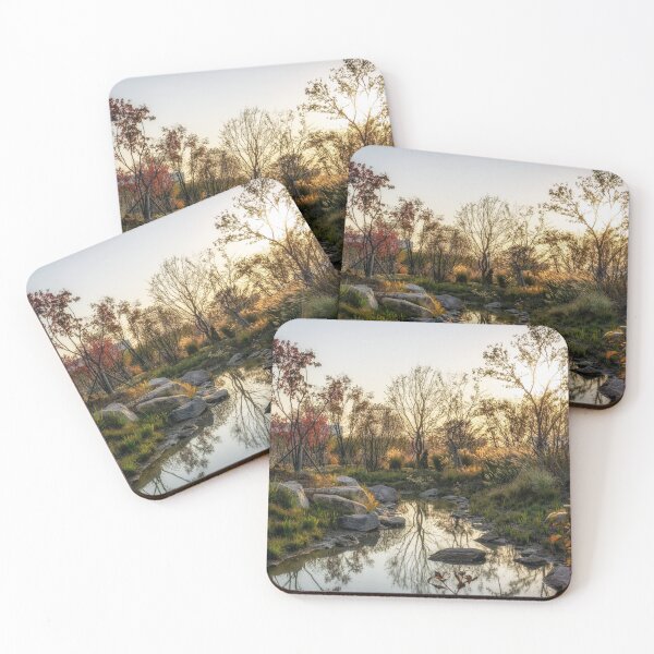 Item preview, Autumn foliage reflections designed and sold by aaronchoi.