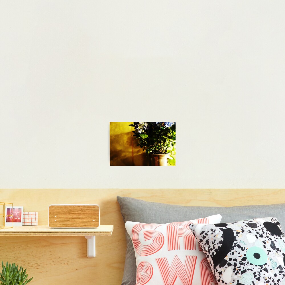 Item preview, Photographic Print designed and sold by hixposure.