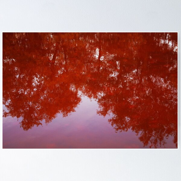 Item preview, Belgian Reflection designed and sold by hixposure.