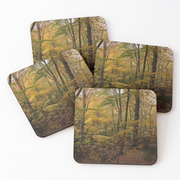 Item preview, Fall in the Ancient Forest designed and sold by sloetry.