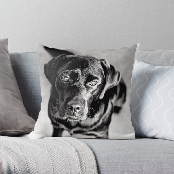 Black Labrador Throw Pillow