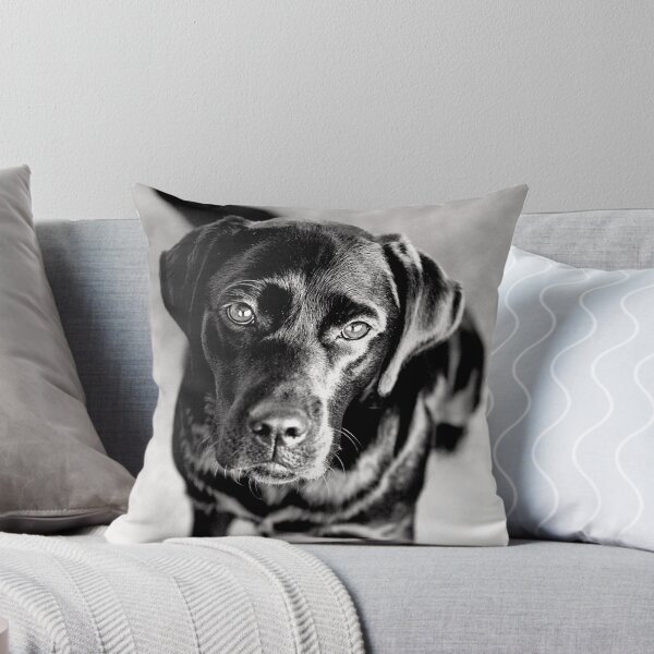 Item preview, Black Labrador designed and sold by sloetry.